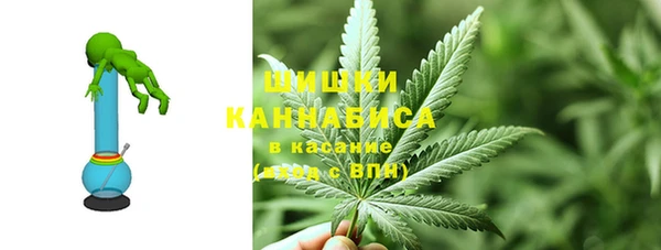 скорость Вяземский