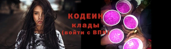 скорость Вяземский