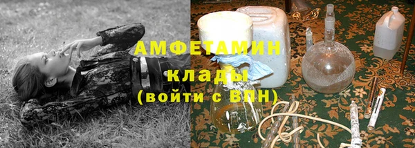 скорость Вяземский