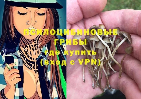 трава Вязьма