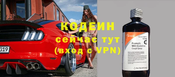 скорость Вяземский