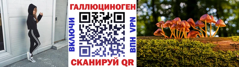 Галлюциногенные грибы Cubensis  купить закладку  OMG как зайти  Тверь 
