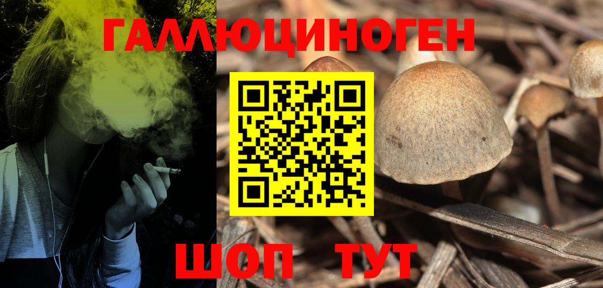Псилоцибиновые грибы Psilocybe  Вход с VPN  Тверь  наркотики  Галлюциногенные грибы MAGIC MUSHROOMS 